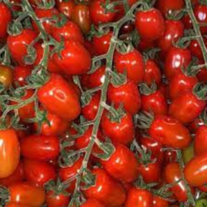 Pomodoro Datterino Rosso Marissa