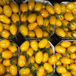 Pomodoro Datterino Giallo Nano