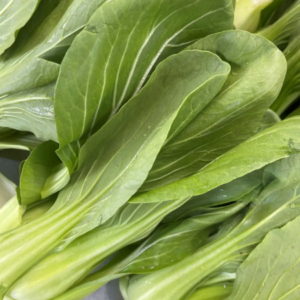 Cavolo Pak Choi